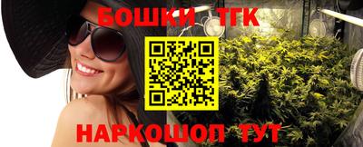 тгк Лесосибирск