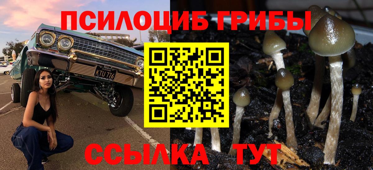 Усть-Илимск  Галлюциногенные грибы мухоморы  Галлюциногенные грибы Psilocybine cubensis  Вход с VPN 