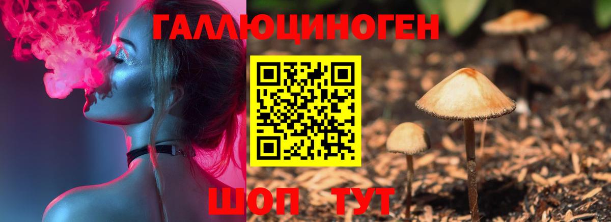 MDMA  МАРИХУАНА  Вход с VPN  Продажа наркотиков  Усть-Илимск  КОКАИН  Меф МЯУ МЯУ кристаллы  Меф МЯУ МЯУ  Гашиш  АМФЕТАМИН кристаллы  Alpha PVP СОЛЬ  